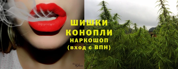шишки Бронницы
