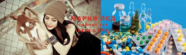 шишки Бронницы