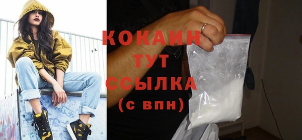 шишки Бронницы