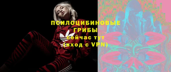 ГАЛЛЮЦИНОГЕННЫЕ ГРИБЫ Бугульма