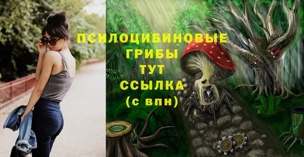 ГАЛЛЮЦИНОГЕННЫЕ ГРИБЫ Бугульма