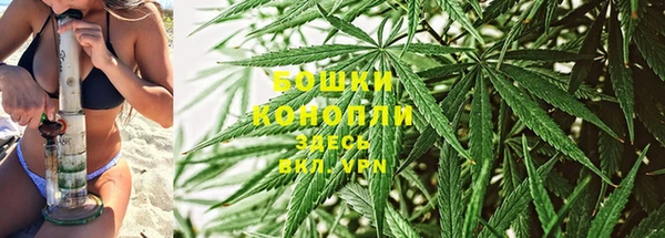ГАЛЛЮЦИНОГЕННЫЕ ГРИБЫ Бугульма