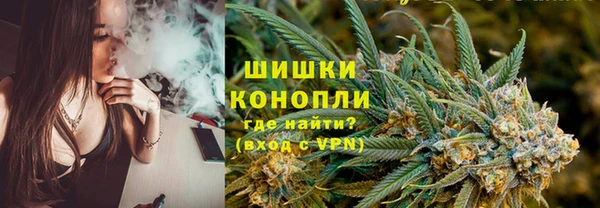 2c-b Бородино