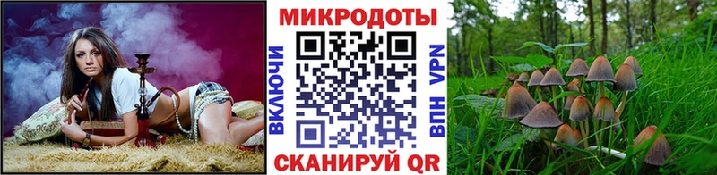 Купить Карабаново Галлюциногенные грибы мухоморы